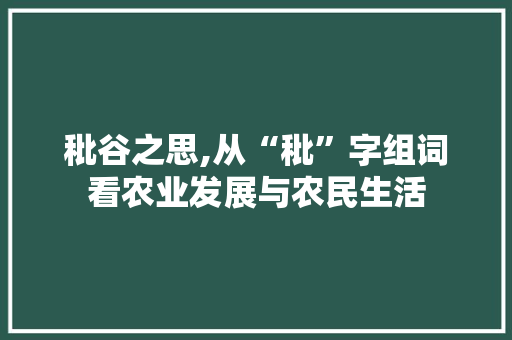 秕谷之思,从“秕”字组词看农业发展与农民生活