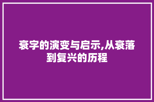 衰字的演变与启示,从衰落到复兴的历程