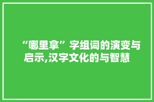 “哪里拿”字组词的演变与启示,汉字文化的与智慧