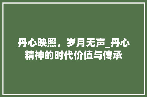 丹心映照，岁月无声_丹心精神的时代价值与传承