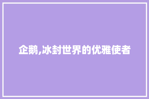 企鹅,冰封世界的优雅使者