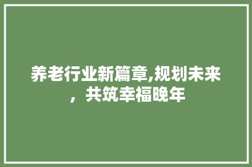 养老行业新篇章,规划未来，共筑幸福晚年