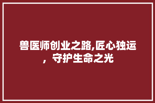兽医师创业之路,匠心独运，守护生命之光