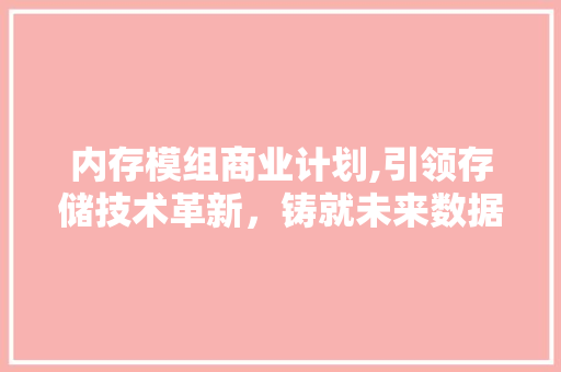 内存模组商业计划,引领存储技术革新，铸就未来数据基石