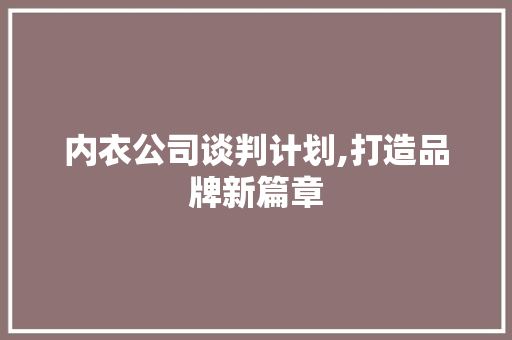 内衣公司谈判计划,打造品牌新篇章