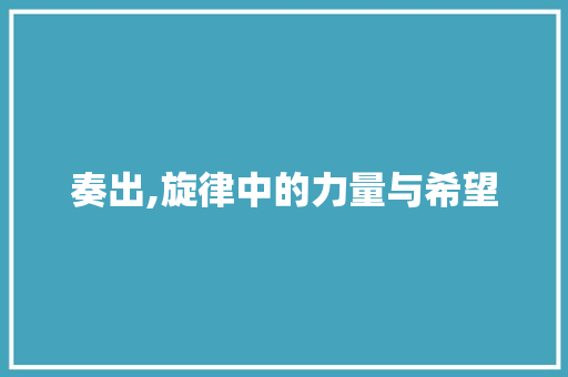 奏出,旋律中的力量与希望