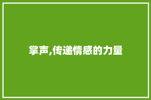 掌声,传递情感的力量
