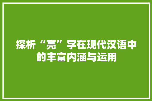 探析“亮”字在现代汉语中的丰富内涵与运用