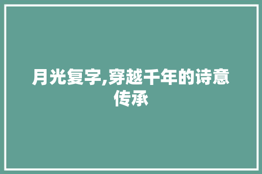 月光复字,穿越千年的诗意传承