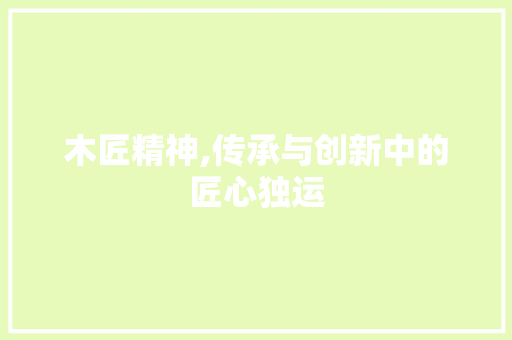 木匠精神,传承与创新中的匠心独运