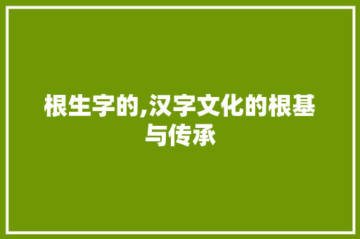 根生字的,汉字文化的根基与传承
