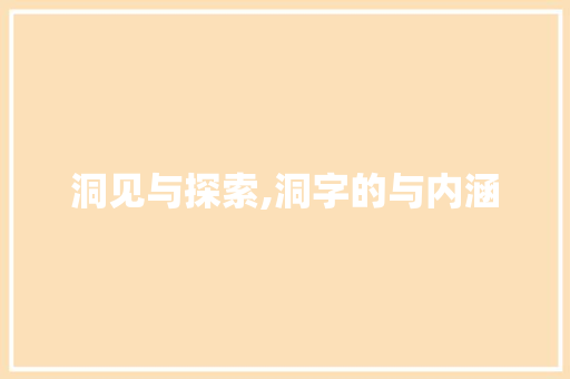 洞见与探索,洞字的与内涵