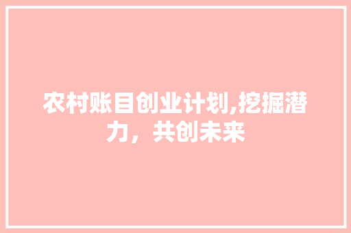 农村账目创业计划,挖掘潜力，共创未来