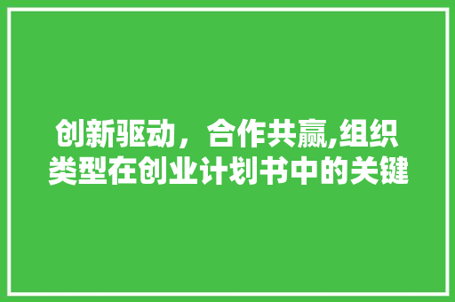 创新驱动，合作共赢,组织类型在创业计划书中的关键作用
