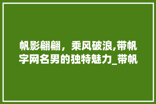 帆影翩翩，乘风破浪,带帆字网名男的独特魅力_带帆字的有意思网名男的