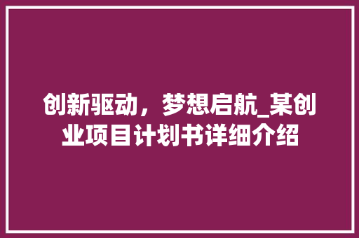 创新驱动，梦想启航_某创业项目计划书详细介绍