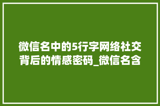 微信名中的5行字网络社交背后的情感密码_微信名含有5行字的意思