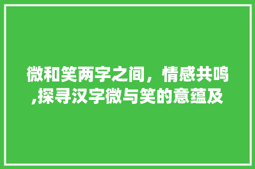微和笑两字之间，情感共鸣,探寻汉字微与笑的意蕴及其关联_微和笑是意思相近的字吗