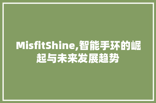 MisfitShine,智能手环的崛起与未来发展趋势