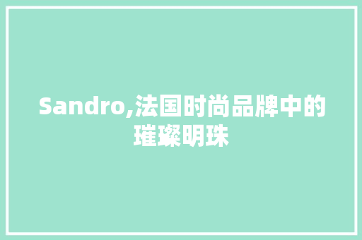 Sandro,法国时尚品牌中的璀璨明珠