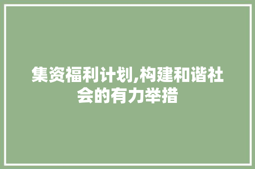 集资福利计划,构建和谐社会的有力举措