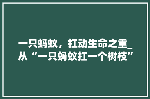 一只蚂蚁，扛动生命之重_从“一只蚂蚁扛一个树枝”看团结协作的力量