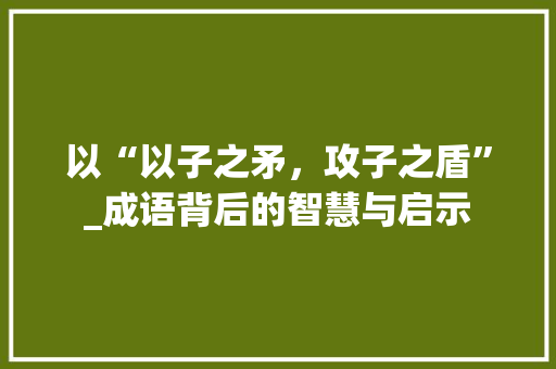 以“以子之矛，攻子之盾”_成语背后的智慧与启示