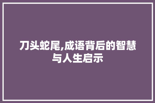 刀头蛇尾,成语背后的智慧与人生启示