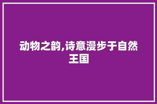 动物之韵,诗意漫步于自然王国