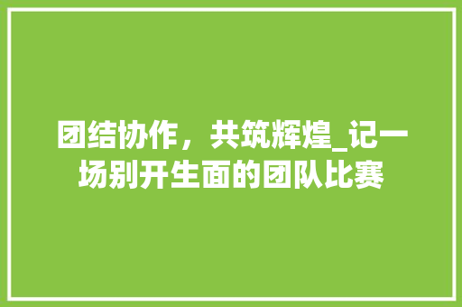 团结协作，共筑辉煌_记一场别开生面的团队比赛
