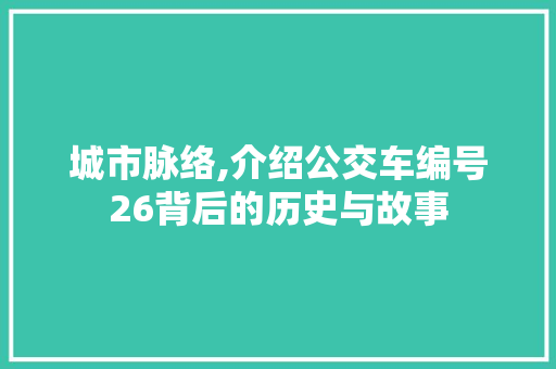 城市脉络,介绍公交车编号26背后的历史与故事