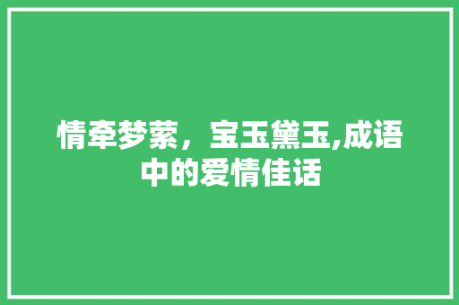 情牵梦萦，宝玉黛玉,成语中的爱情佳话