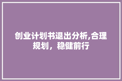 创业计划书退出分析,合理规划，稳健前行