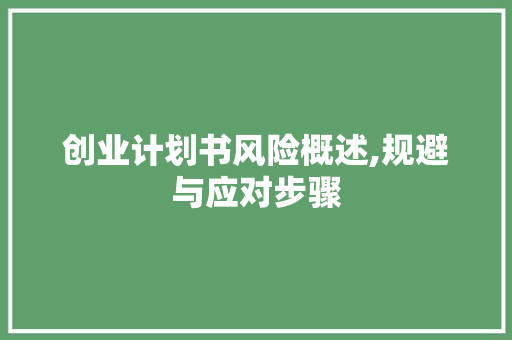 创业计划书风险概述,规避与应对步骤