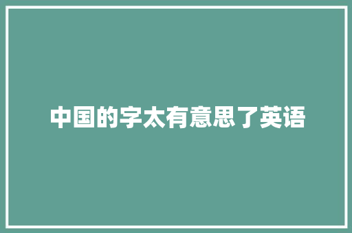 中国的字太有意思了英语