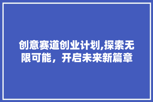 创意赛道创业计划,探索无限可能，开启未来新篇章