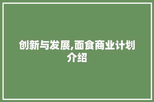创新与发展,面食商业计划介绍