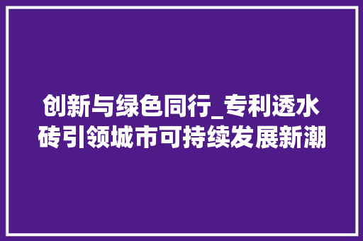 创新与绿色同行_专利透水砖引领城市可持续发展新潮流