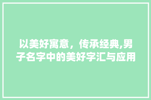 以美好寓意，传承经典,男子名字中的美好字汇与应用_意思好的字取名字大全男