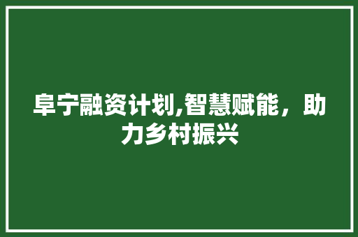 阜宁融资计划,智慧赋能，助力乡村振兴