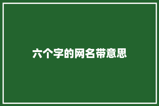 六个字的网名带意思