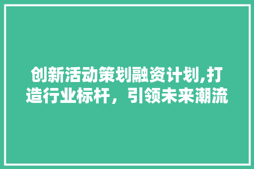 创新活动策划融资计划,打造行业标杆，引领未来潮流