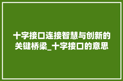 十字接口连接智慧与创新的关键桥梁_十字接口的意思是什么啊