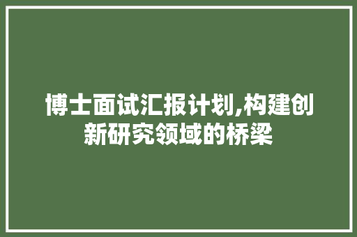 博士面试汇报计划,构建创新研究领域的桥梁