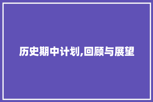 历史期中计划,回顾与展望