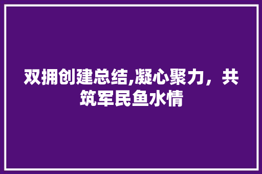 双拥创建总结,凝心聚力，共筑军民鱼水情