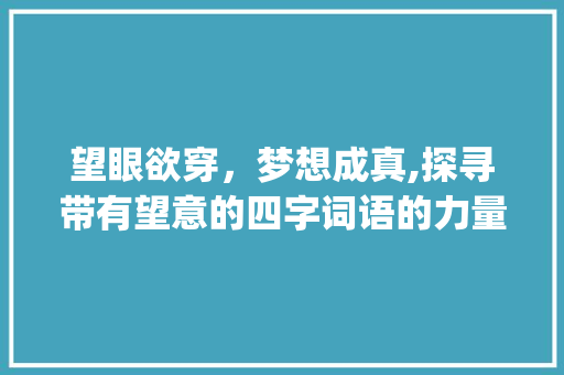 望眼欲穿，梦想成真,探寻带有望意的四字词语的力量_带有望意思的四字词语