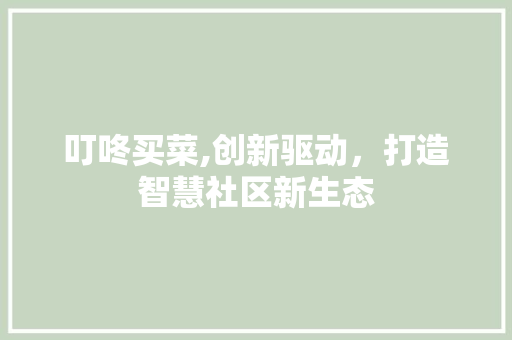 叮咚买菜,创新驱动，打造智慧社区新生态