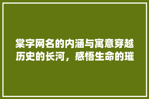 棠字网名的内涵与寓意穿越历史的长河，感悟生命的璀璨_棠字网名的意思是啥呀男