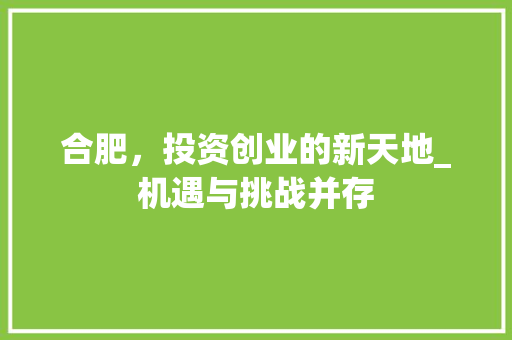 合肥，投资创业的新天地_机遇与挑战并存